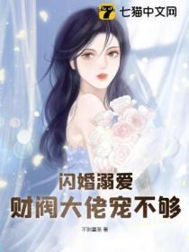 闪婚大佬后