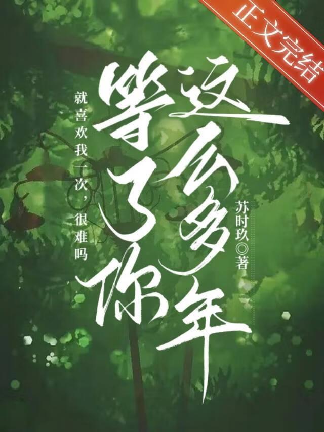 等了你这么多年苏时玖24章