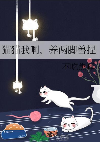 猫猫消防员养两脚兽