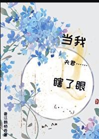 当我夫君瞎了眼番外