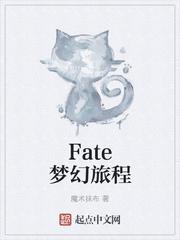 fate梦幻旅程起点