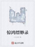 惊鸿怎么样