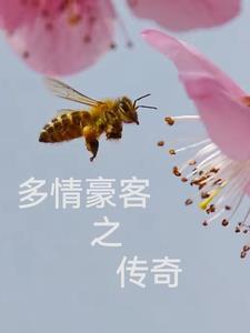 多情客是什么意思