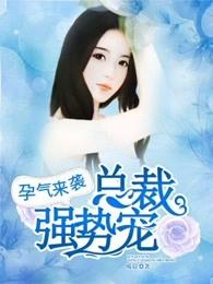 孕妇总裁宠妻