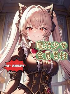 魔法少女小圆是男性向吗