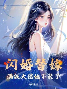 闪婚闪了个大佬