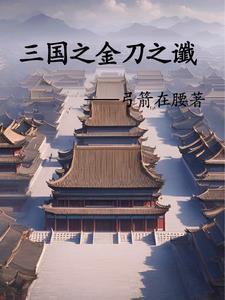 三国之大汉崛起刘辩笔趣阁