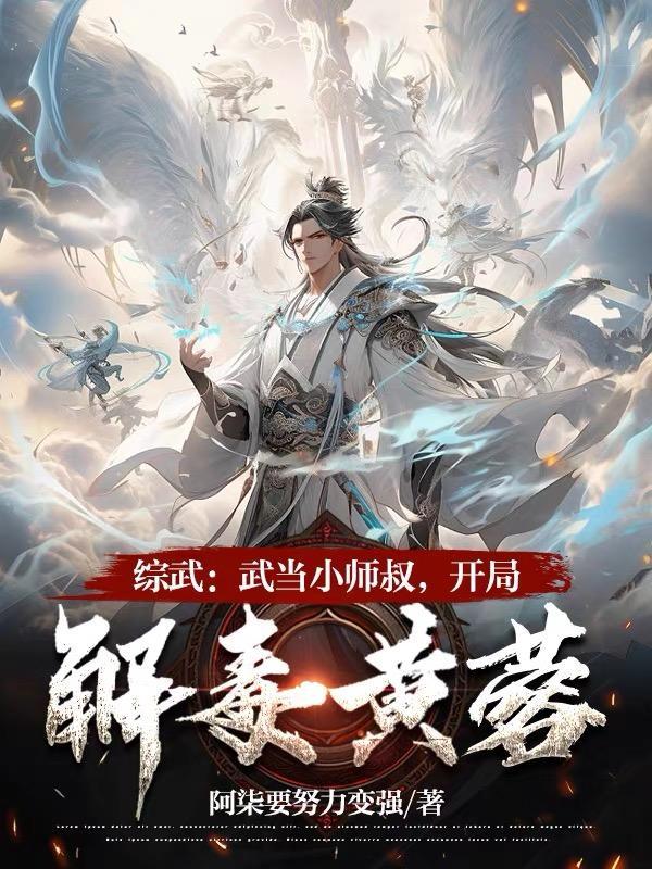 综武侠攻略黄药师的