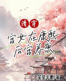 清穿康熙后妃的