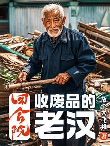 四合院废品佬魂穿60年代TXT