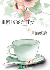 重回1988之IT女王全文阅读