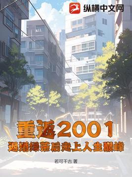 重返2001陆游无弹窗免费阅读