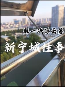 宁城最新侦破案件