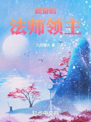 全职法师领主