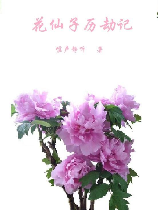 花仙子15