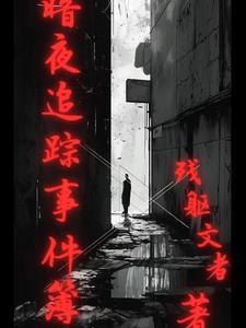 暗夜追踪免费播放