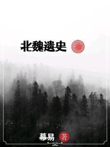 北魏政治史10