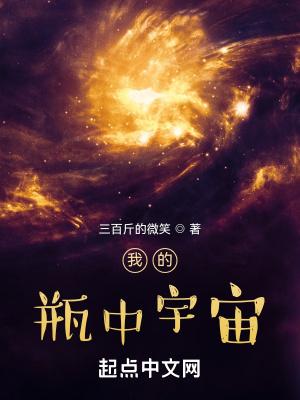 我的瓶中宇宙TXT奇书网