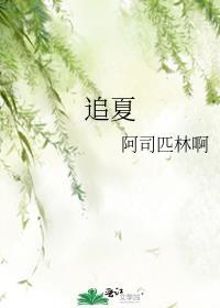 追夏是什么意思