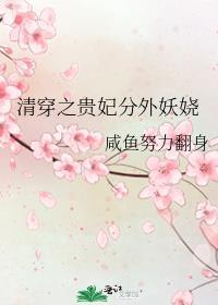 清穿之贵妃传