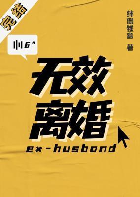 无效离婚绊倒铁盒TXT